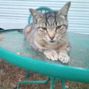 Meet your Posher, Hailey